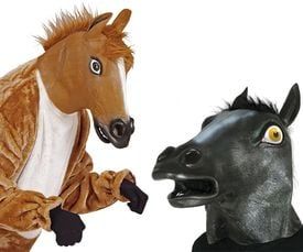Paarden masker kopen? Shop NU Carnavalskleding.nl