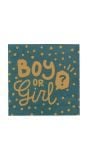 20 Gender reveal party papieren servetten