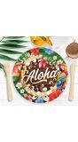 Aloha hawaii wegwerp bordjes