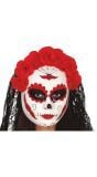 Catrina mexico skelet masker met sluier