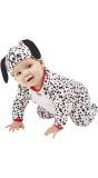 Dalmatiër Baby Pakje