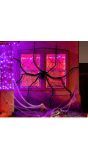 Grote zwarte spin met spinnenweb halloween