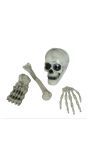 Halloween skelet botten set