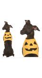 Pompoen halloween honden kostuum klein