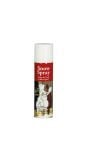 Witte nepsneeuw spray 150ml