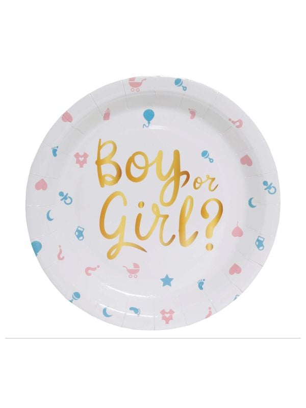 Gender reveal baby wegwerp bordjes