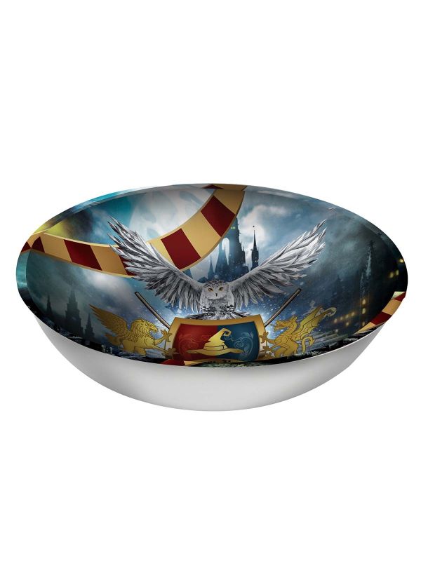 Harry Potter magic school schaal