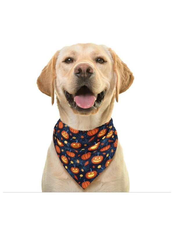 Pompoen halloween hond bandana