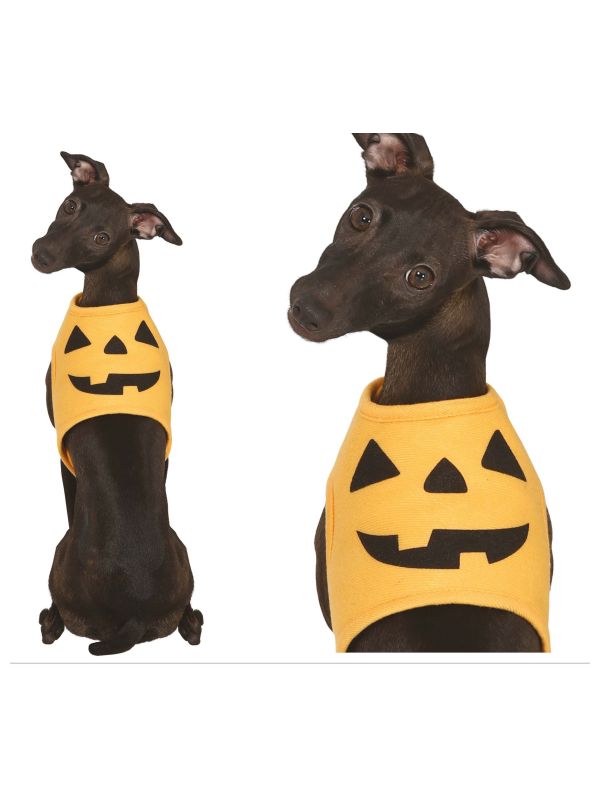 Pompoen halloween honden kostuum klein