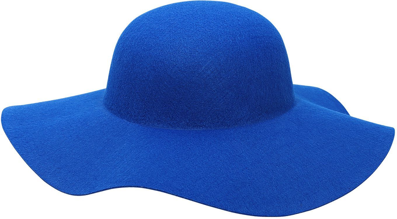 hamer Normaal gesproken Beangstigend 60s vrouwen hoed blauw | Carnavalskleding.nl
