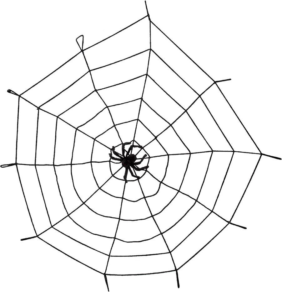 Elastisch spinnenweb met spin