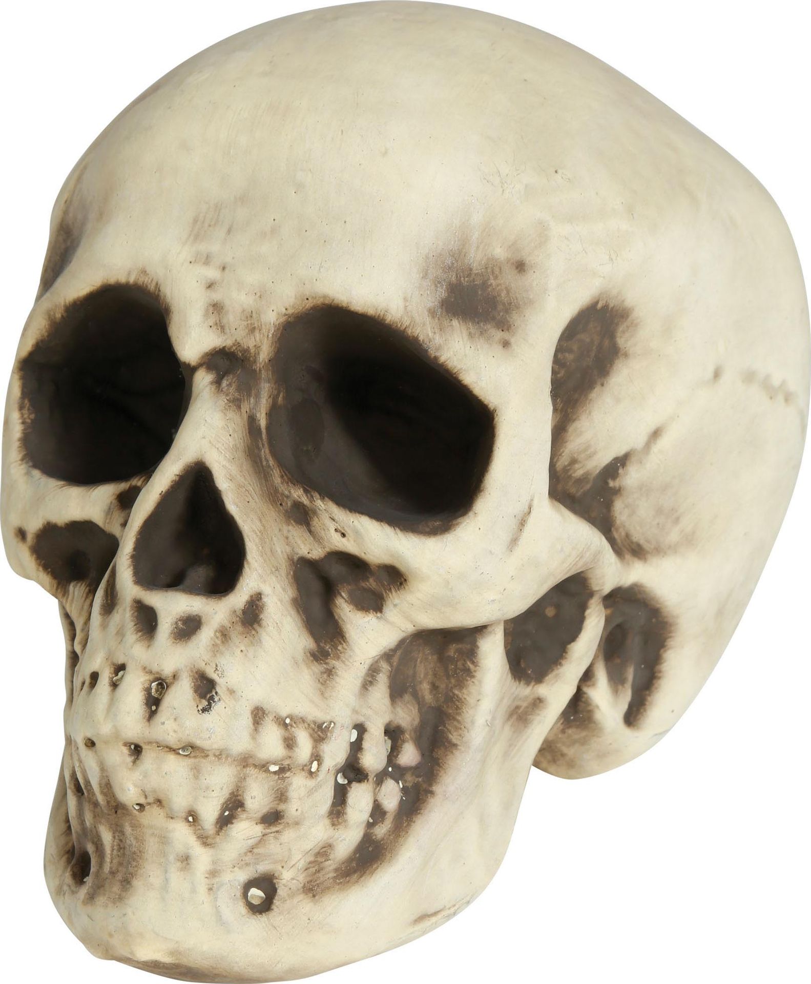 Halloween foam skull decoratie