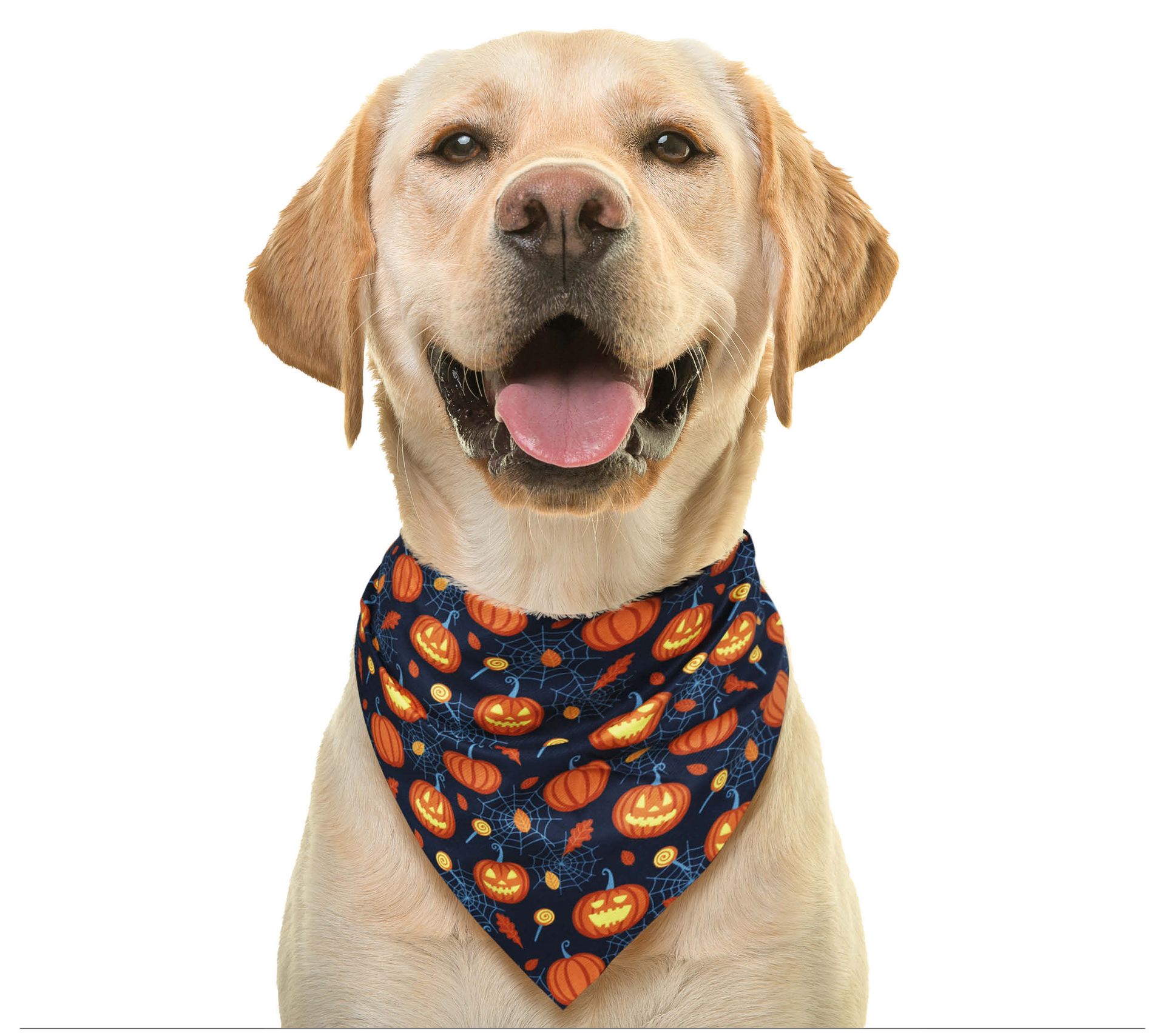 Pompoen halloween hond bandana