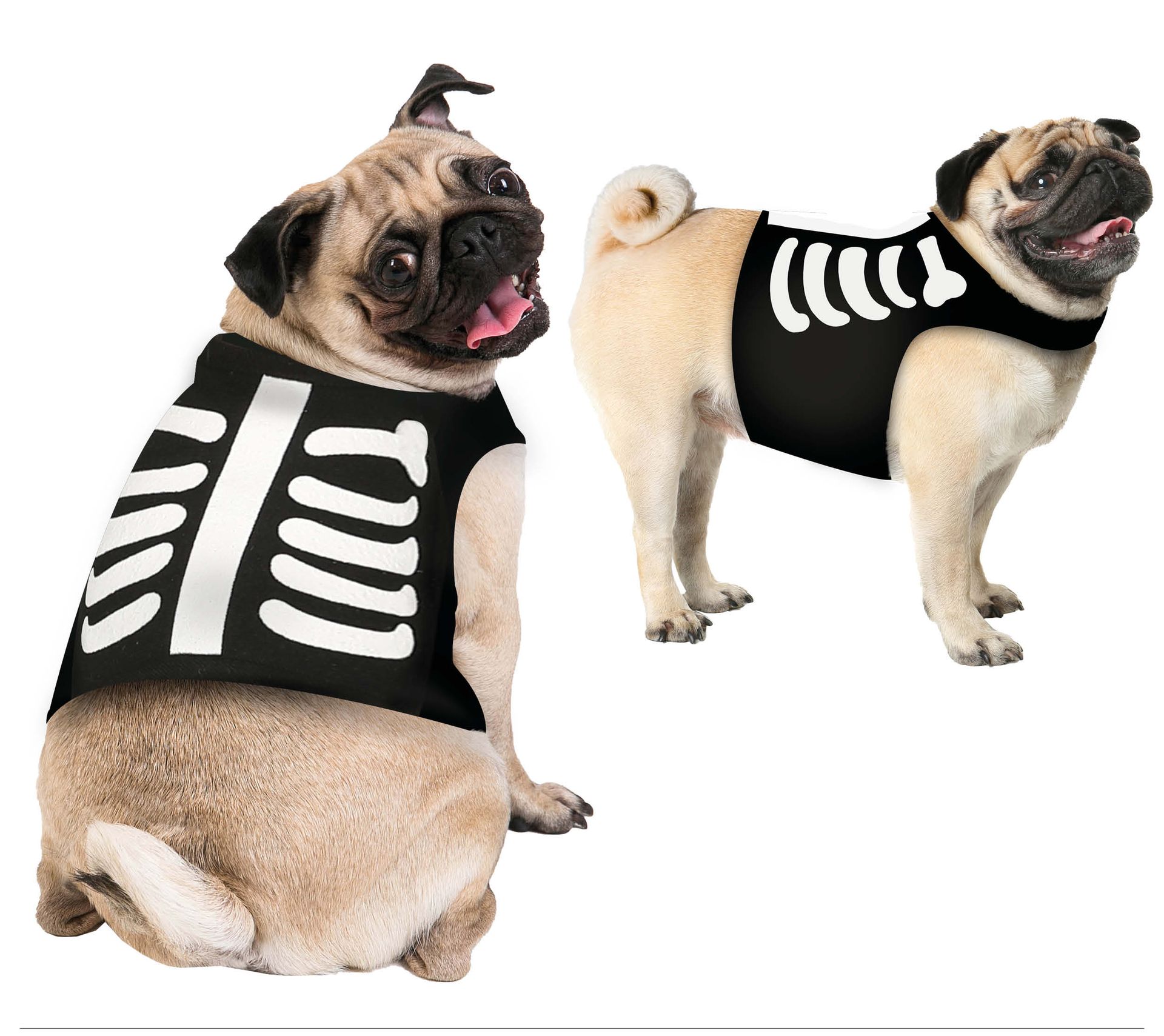 Skelet halloween honden kostuum klein