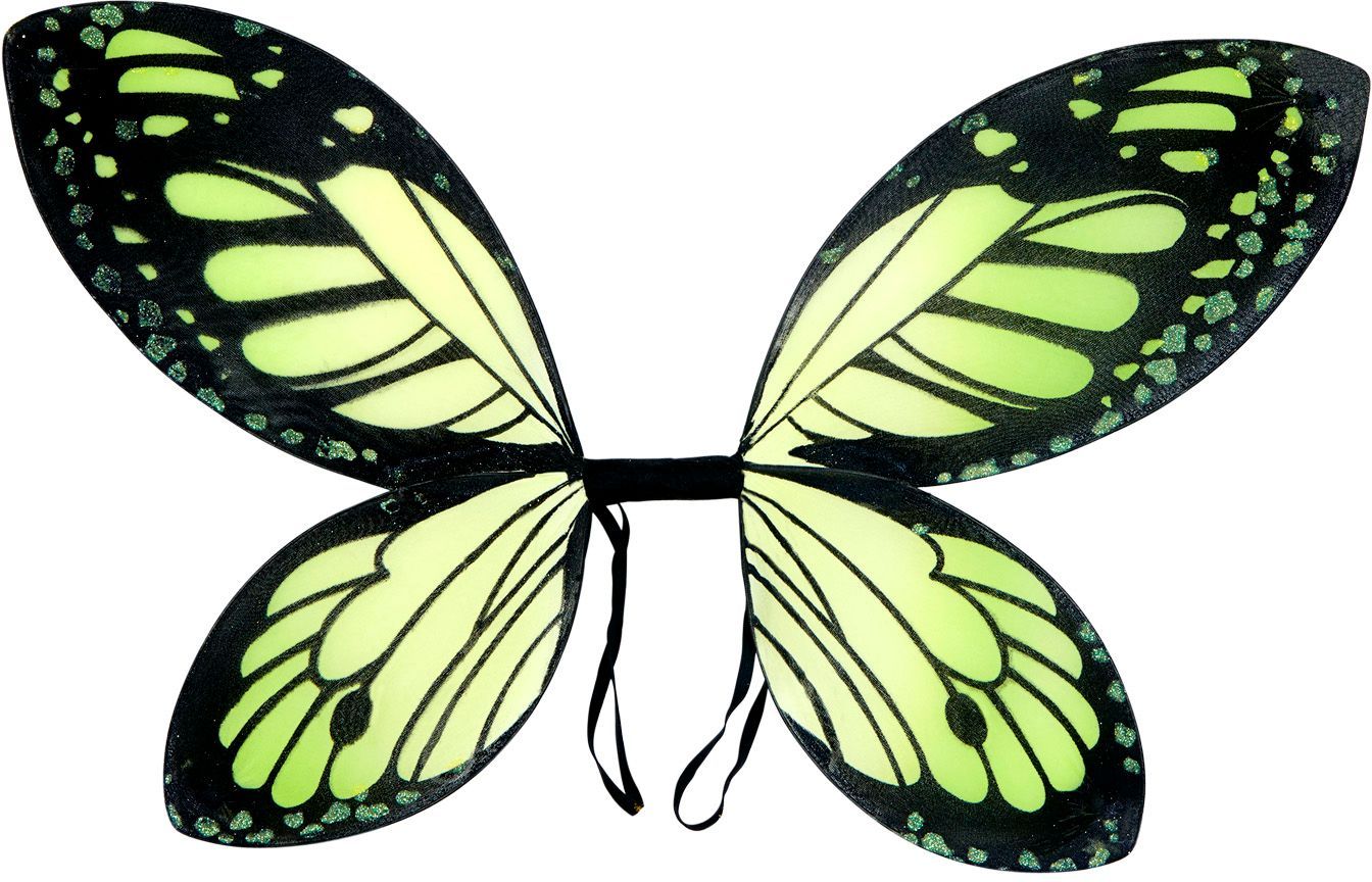 Soldaat wenselijk kassa Zwart-groene vlinder vleugels kind | Carnavalskleding.nl