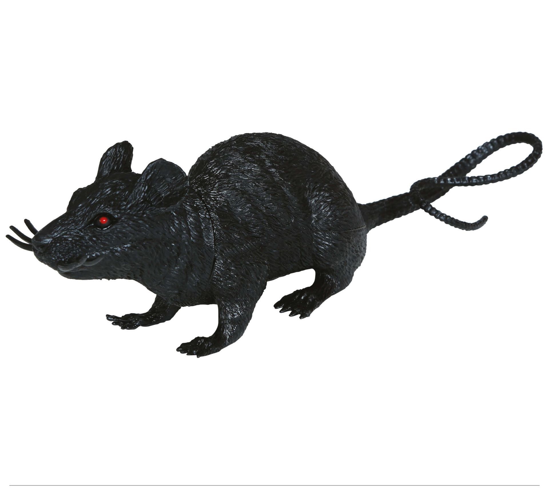 Zwarte rat halloween decoratie